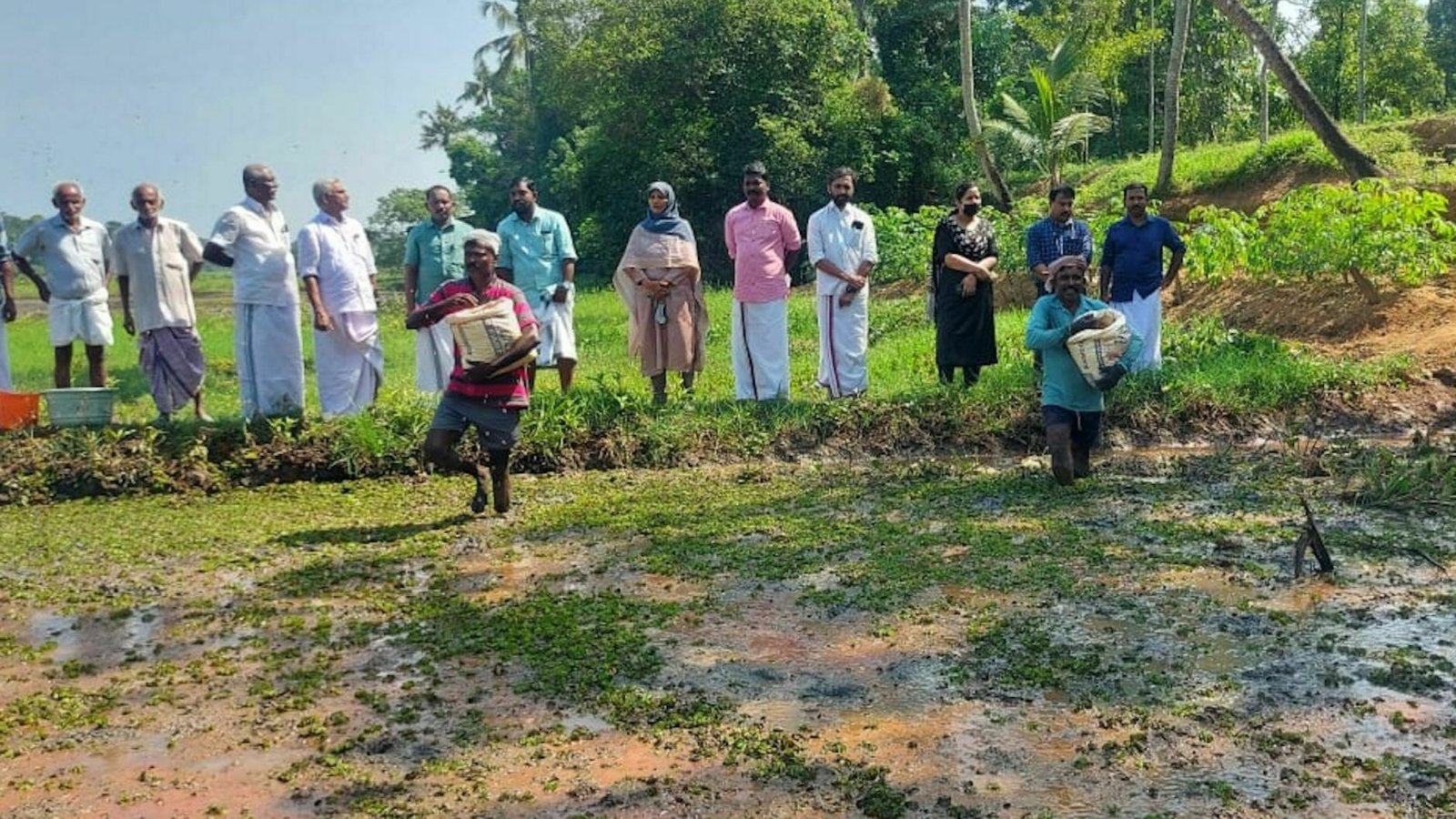 Kuttanad Farmers