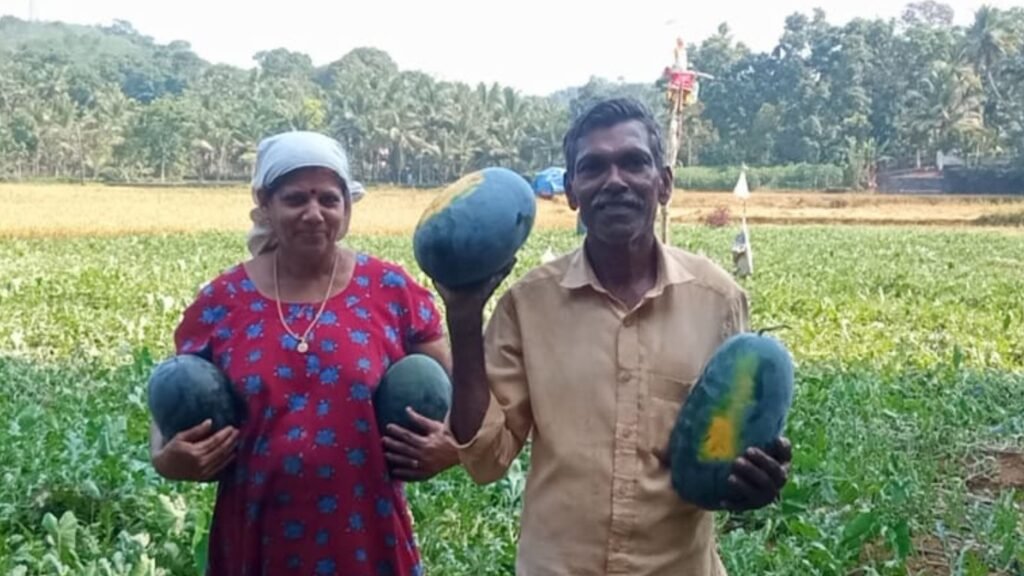 Vijayan along with his wife Ani at their farm in Muvattupuzha, Kerala