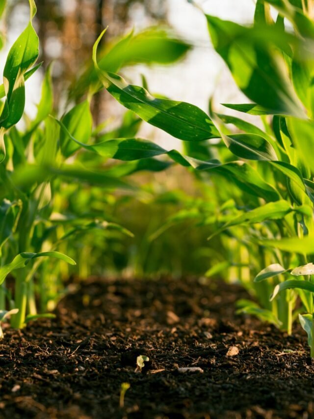 Steven-weeks-dupfowqi6oi-unsplash