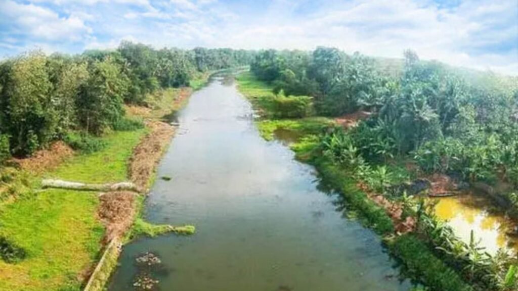 An aerial view of Kuttemperoor river in Alappuzha which has been revived.