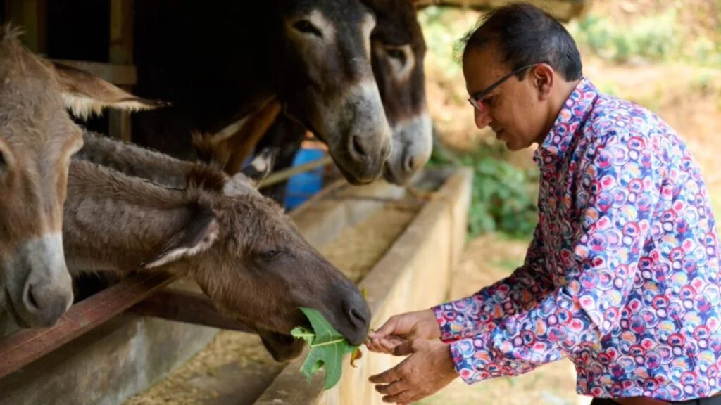 Kerala man mints money from donkey milk to launch aphrodisiac