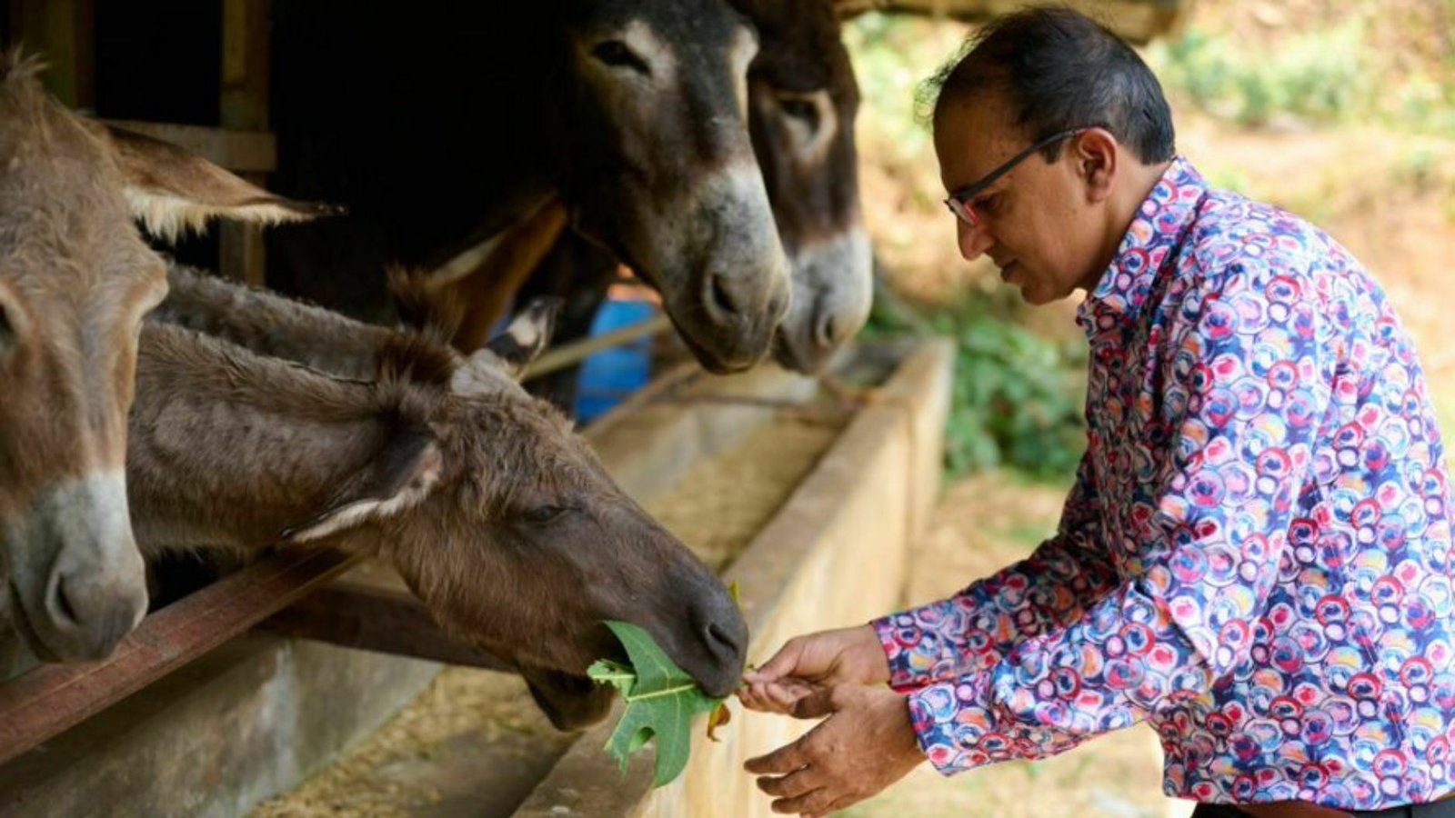 Aby Baby at his donkey farm in Ramamangalam, Ernakulam, Kerala.