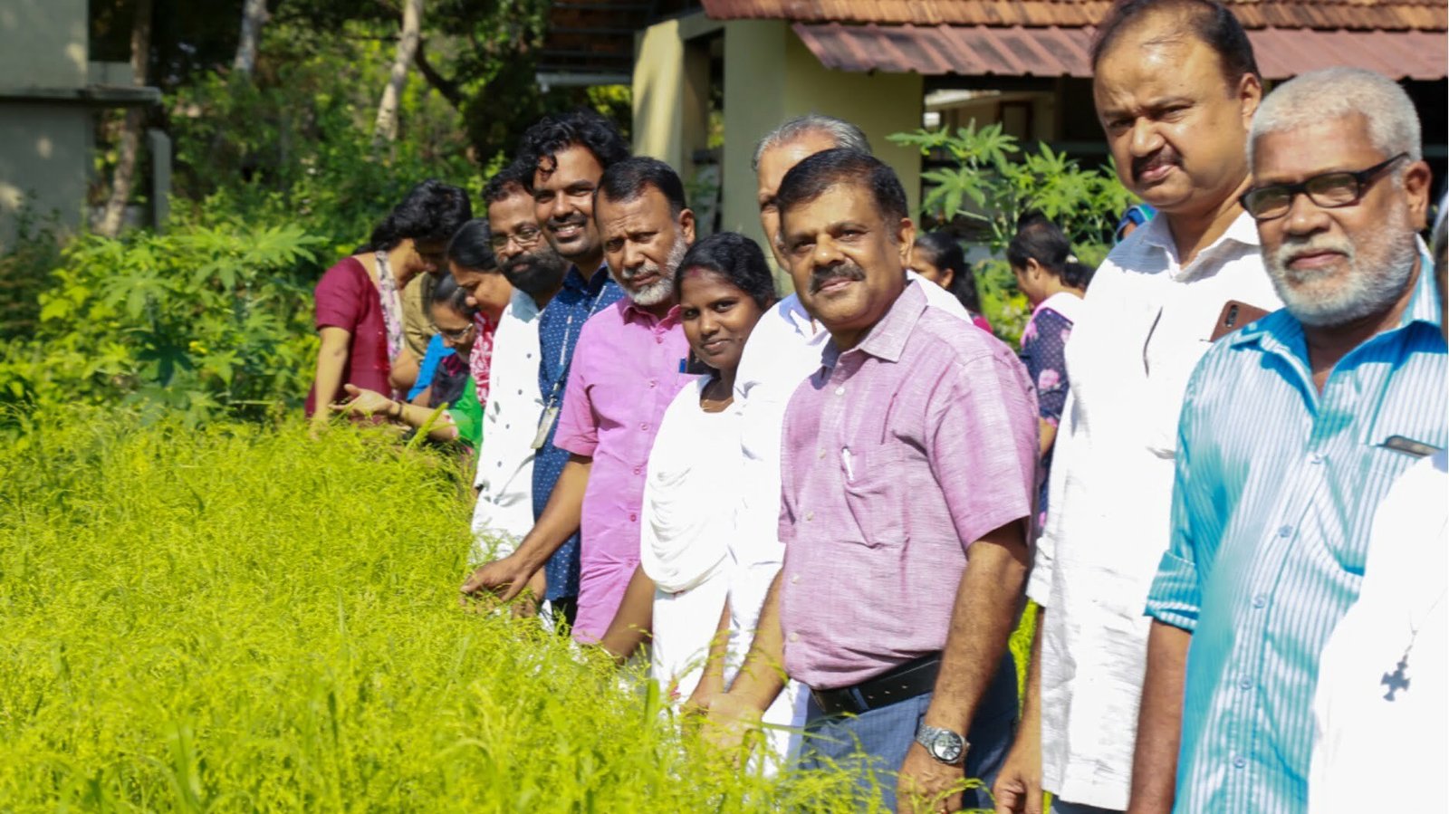 A field at Kottuvalli panchayat in Kerala where millets were successfully grown by farmers on a trial basis.