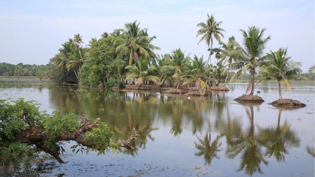 Kumarakom in Kottayam, Kerala