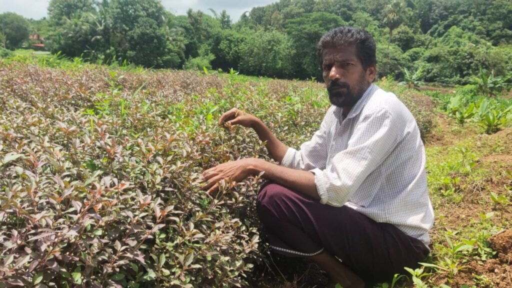 Ajith Kumar at his farm in Shoranur, Kerala.