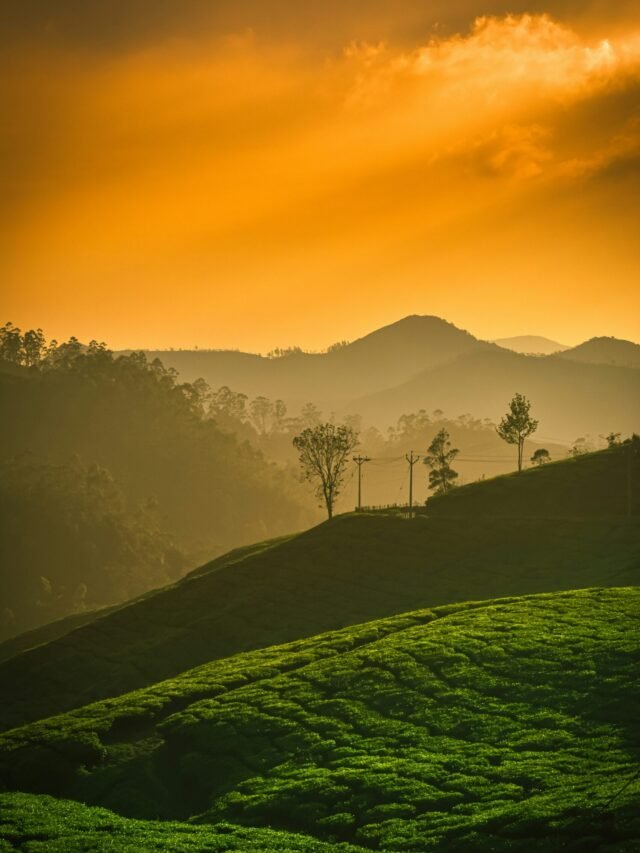 Kerala’s Captivating Hill Stations for Your Summer Escapades