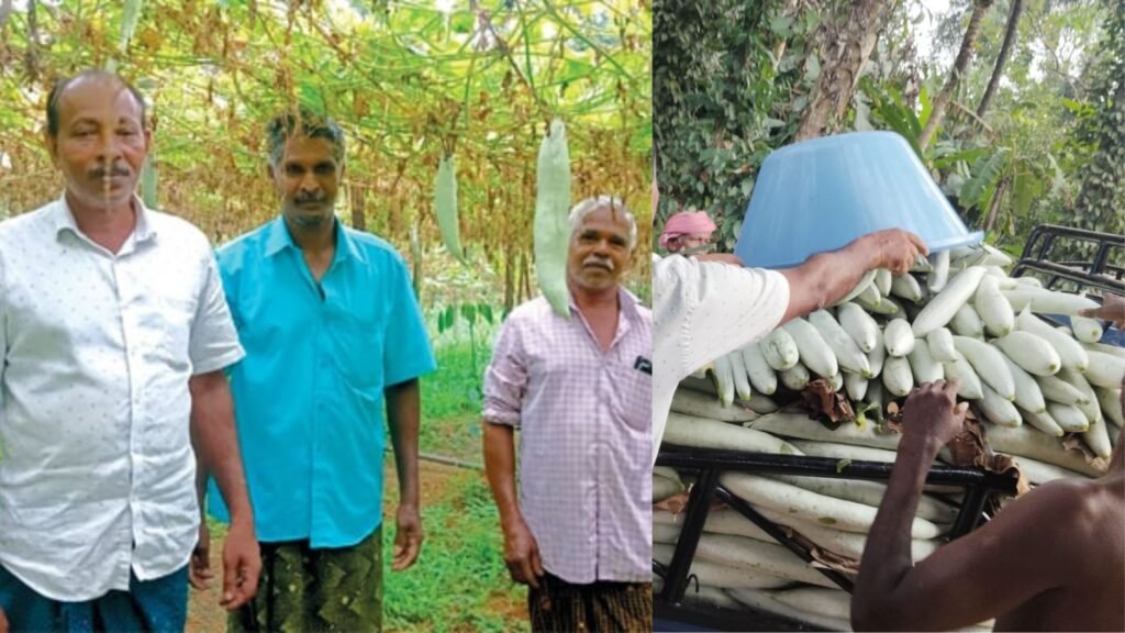 The farmers who are leading the farming group at Kottayam in Kerala.