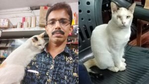 Satheesh Kumar P G along with the blind cat which he rescued from the streets.