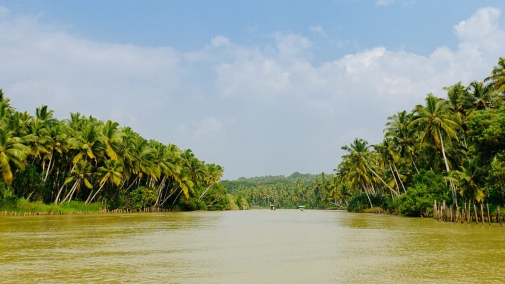 Kerala river