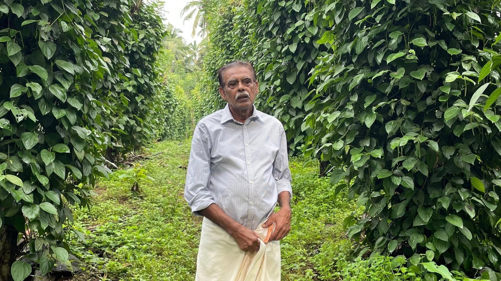 Sebastian P Augustine at his farm in Kasargode, Kerala.