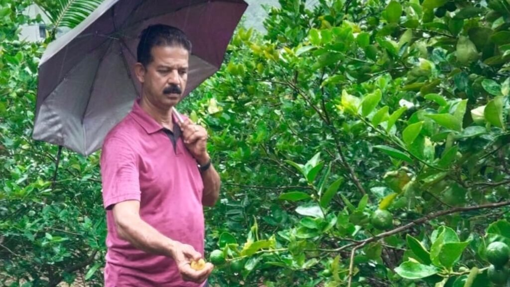 Rajan Mathew at his lemon farm.