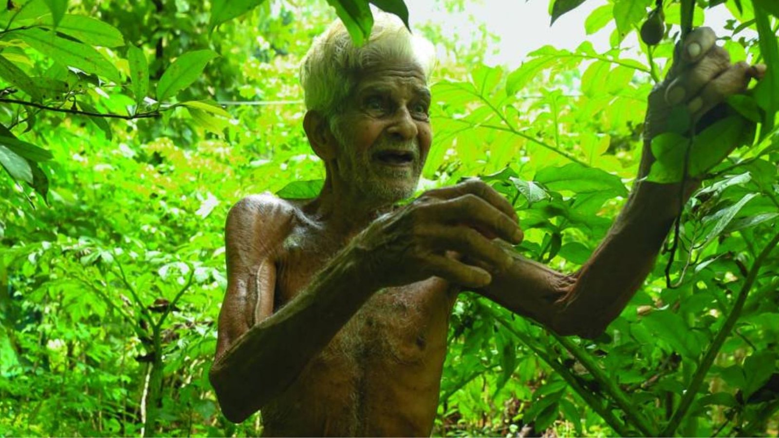Narayanan Nair